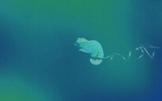 932555 (a): :1920x1200